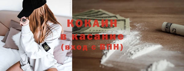 гашик Заводоуковск