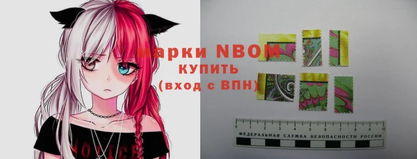 гашик Заводоуковск