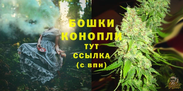гашик Заводоуковск